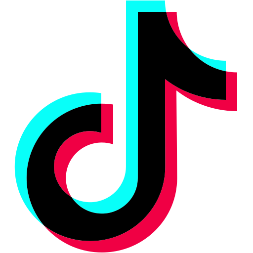 TikTok Advertising logo